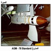  AGM  78 Standard