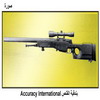    Accuracy International